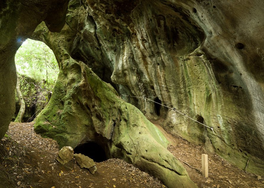 Las Cuevas de Andía