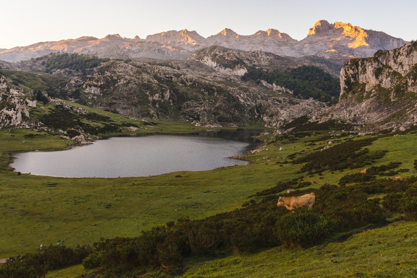 Lago Ercina en los Lagos de Covadonga