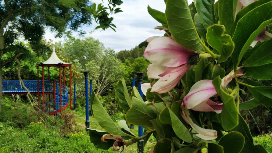 El Jardín de La Fonte Baxa, Luarca