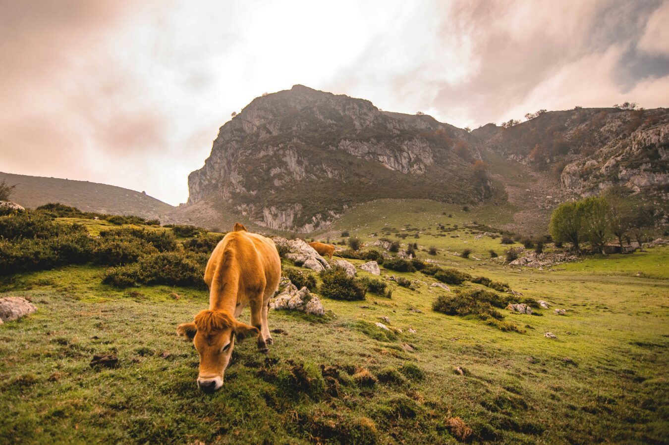 Vacaciones en Asturias